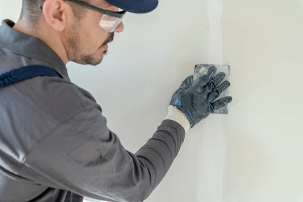 Reliable Leonville, LA Mold Removal Solutions